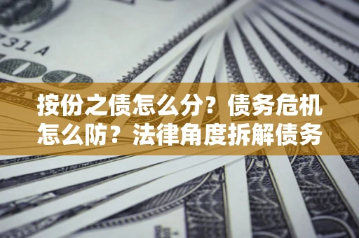 北京按份之债怎么分？债务危机怎么防？法律角度拆解债务分配与风险自保指南