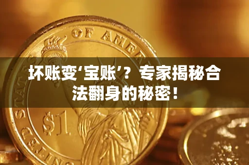 北京坏账变‘宝账’？专家揭秘合法翻身的秘密！